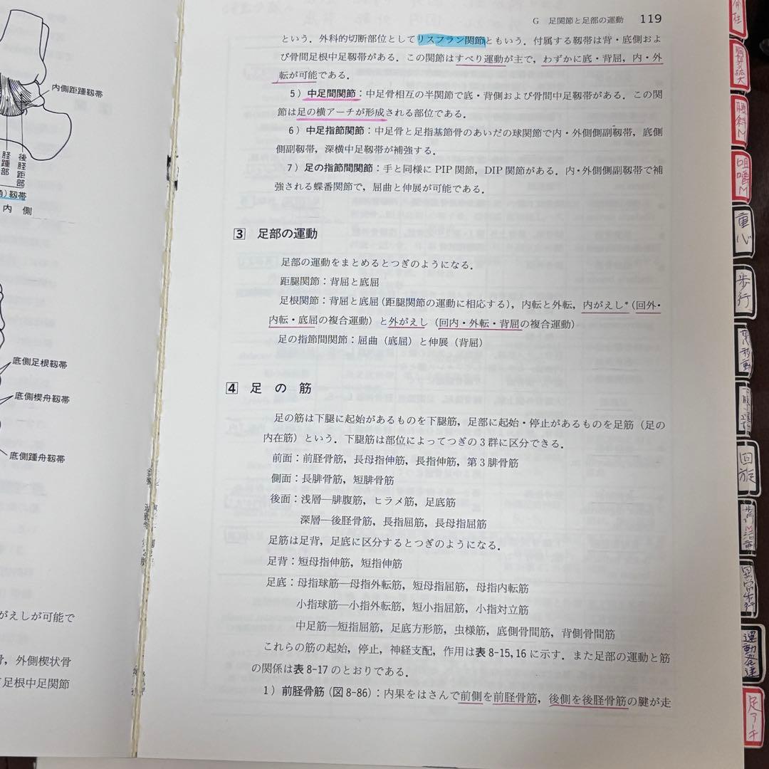 【教師の書き込み】柔道整復師 教科書　❸冊セット