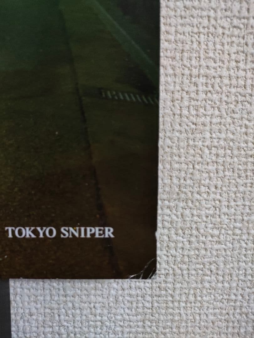 激レア!流線形『TOKYO SNIPER』シティポップ レコード LP