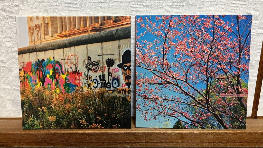 William Eggleston ウィリアム・エグルストン写真集 steidl