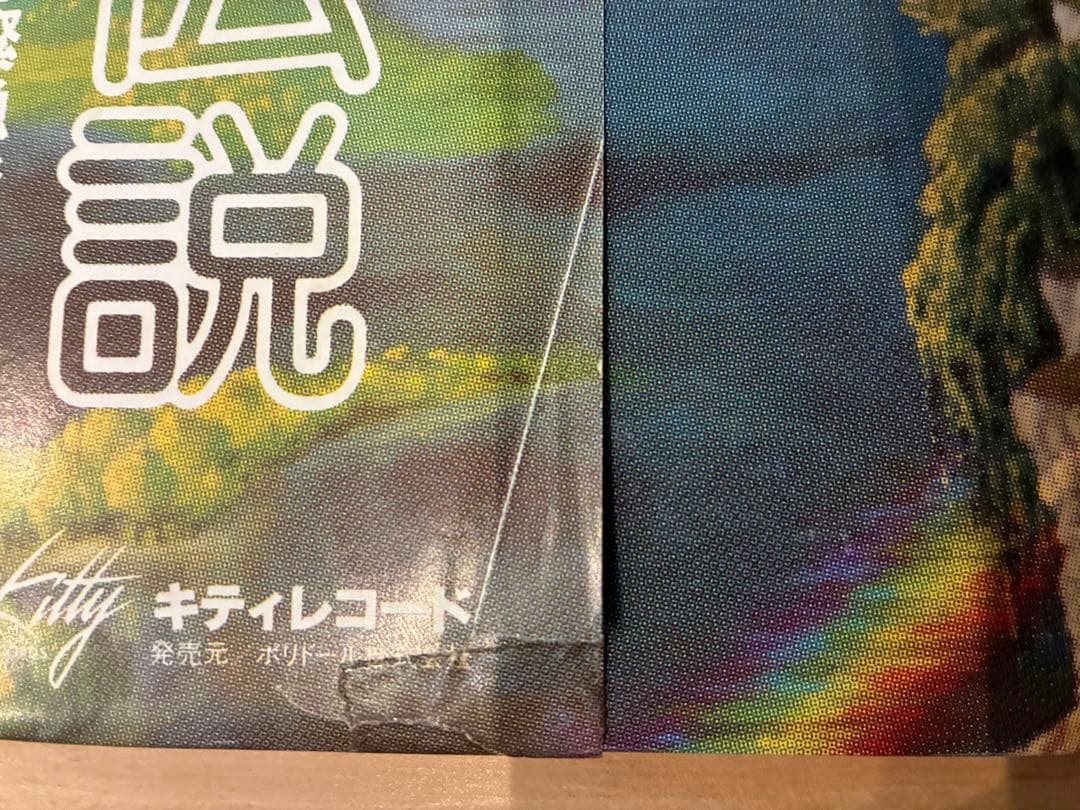 高中正義 / THE RAINBOW GOBLINS LPレコード