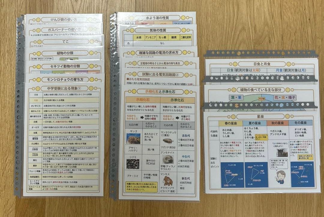 匿名配送　中学受験・頻出用語・ポイントにしぼったまとめカード