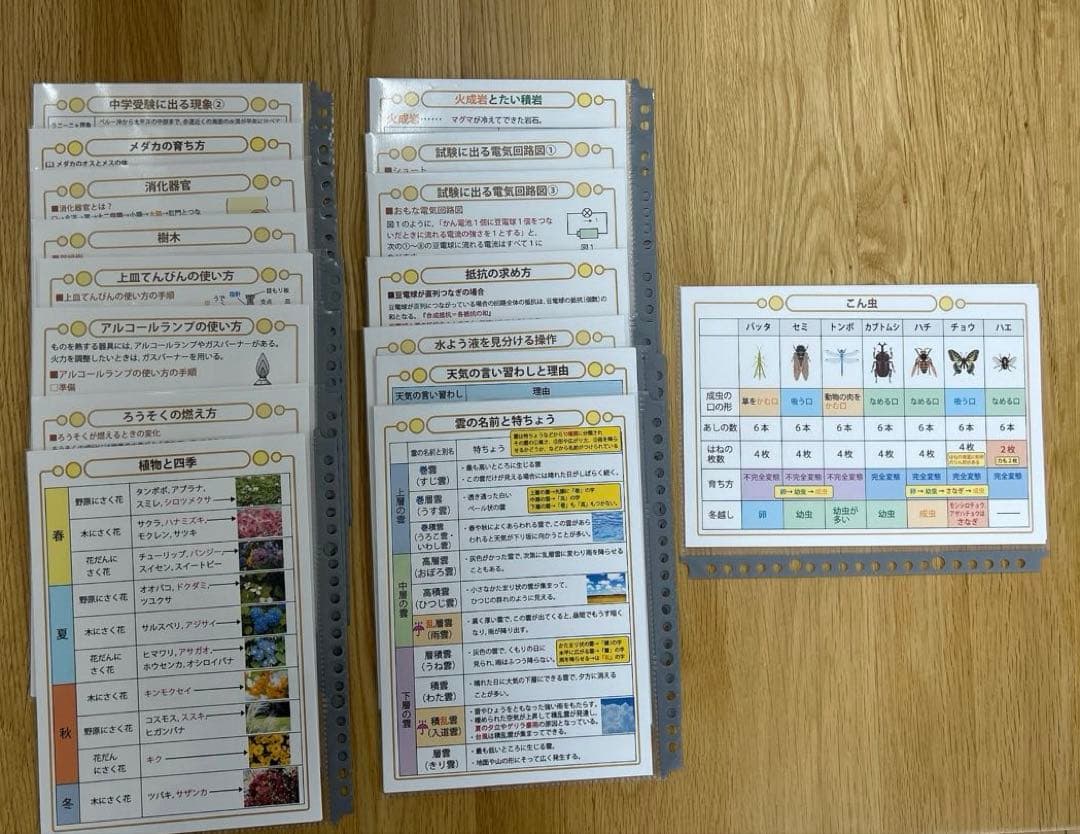 匿名配送　中学受験・頻出用語・ポイントにしぼったまとめカード