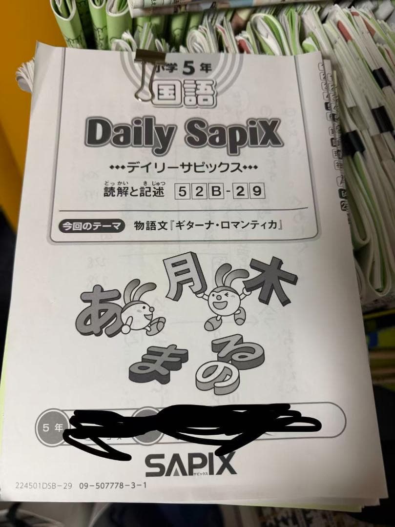 サピックス SAPIX最新小学5年生2024年度 一年分フルセット