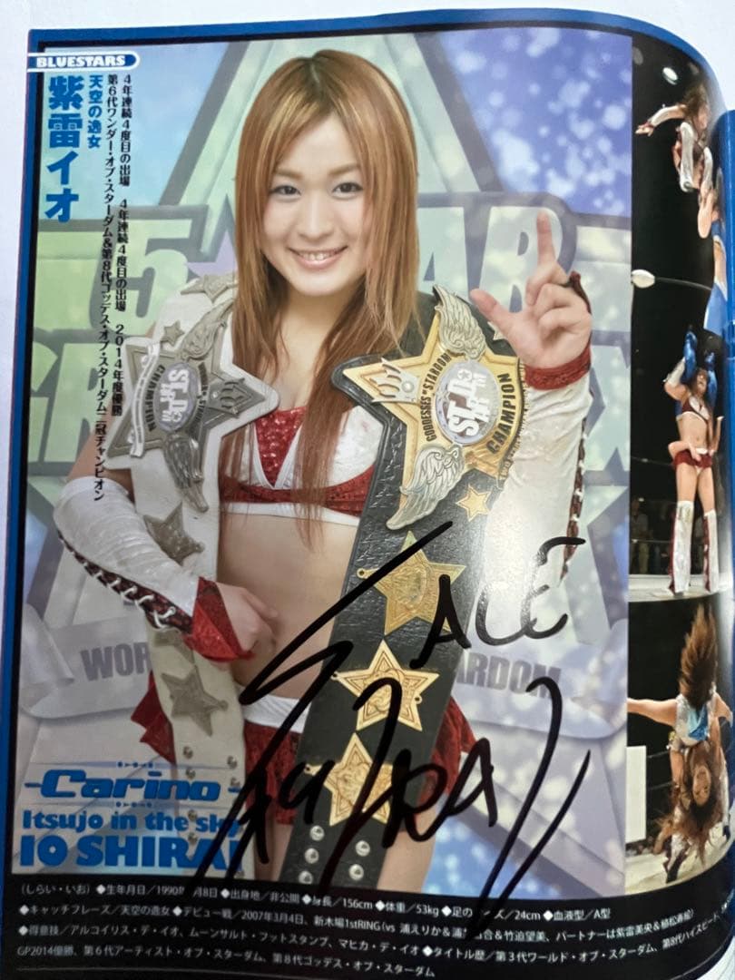 スターダム観戦ガイドブック 紫雷イオ、岩谷麻優、サンダーロックカード付き