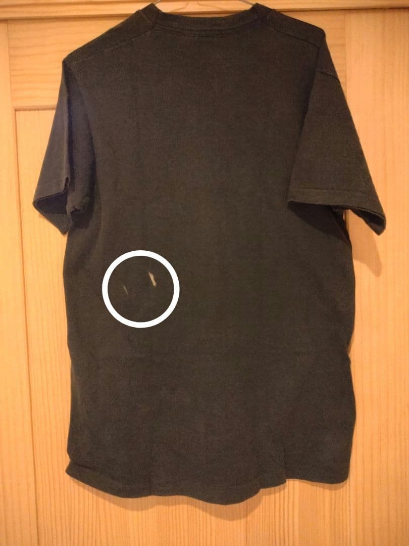 ZORLAC　 Tシャツ　　powell santa cruz