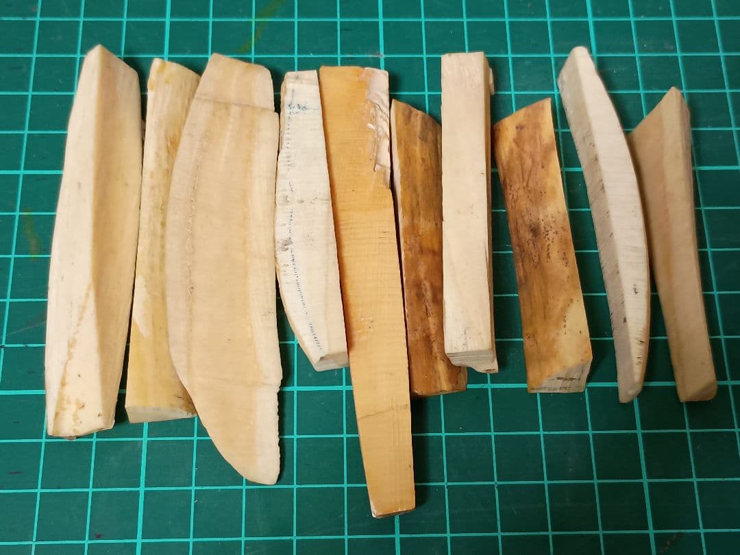 マッコウ鯨　牙　鯨歯　138g程度