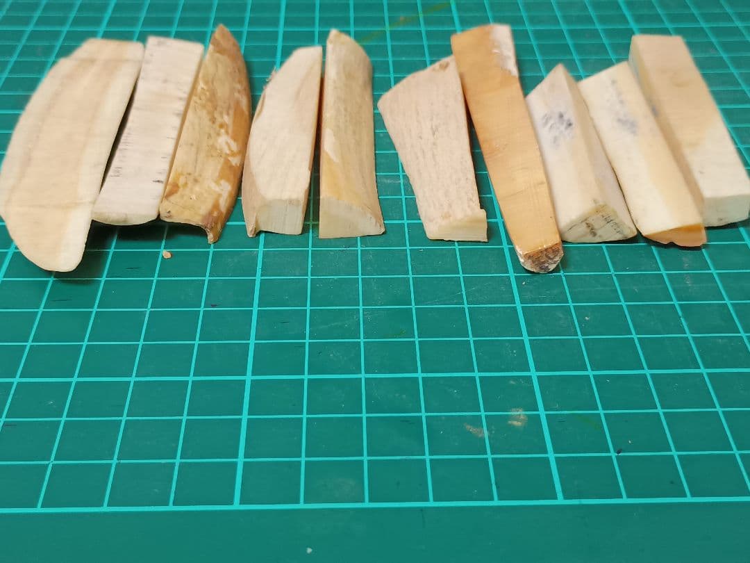マッコウ鯨　牙　鯨歯　138g程度