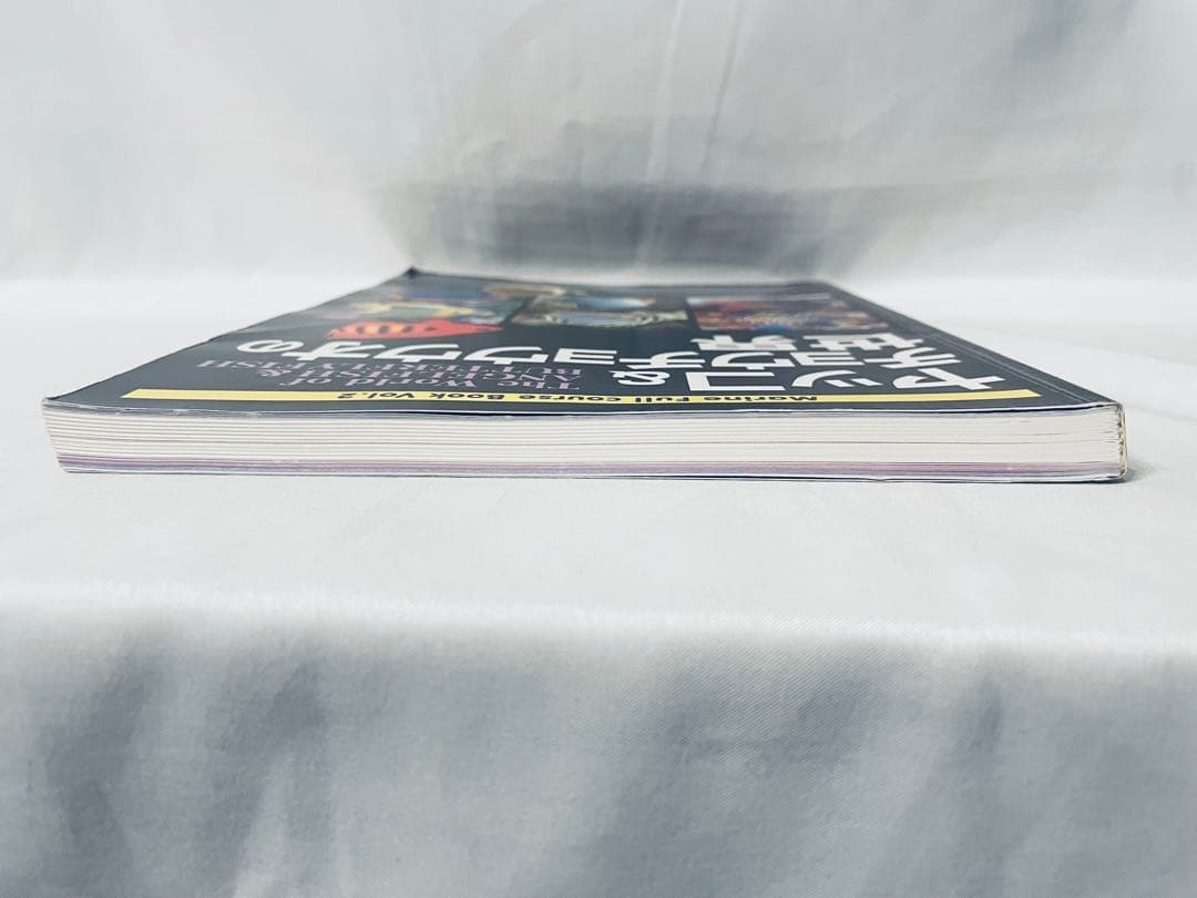 ヤツコ&チョウチョウウオの世界MarineFull courseBookVol2