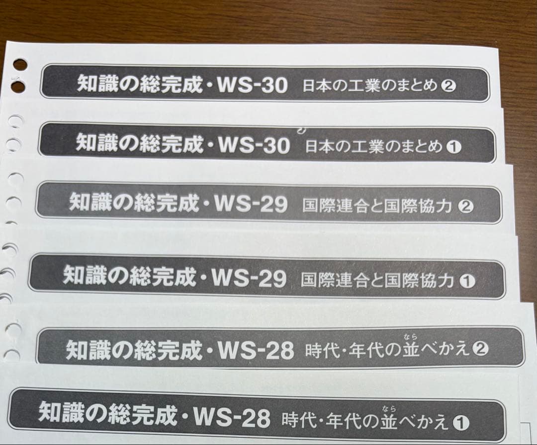 【美品】SAPIX　６年　土特　社会　知識の総完成WS-01〜WS-36