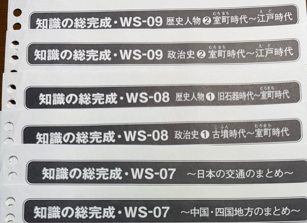 【美品】SAPIX　６年　土特　社会　知識の総完成WS-01〜WS-36