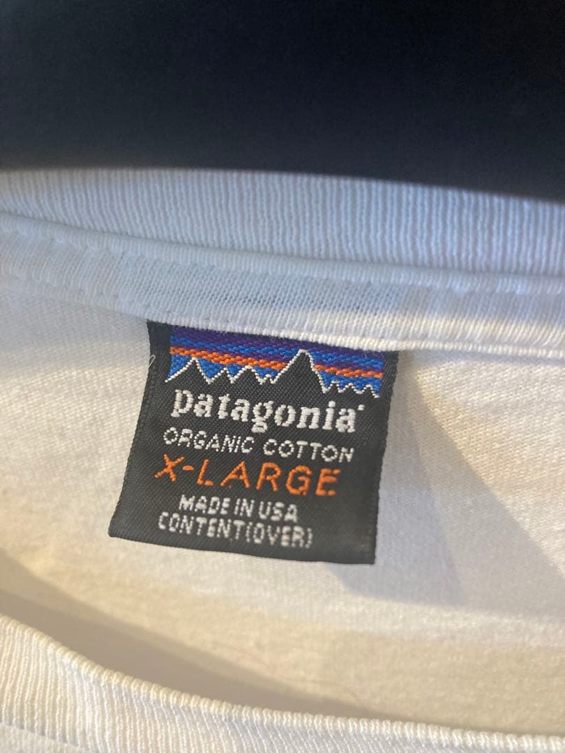 patagonia 90s Tシャツ黒タグ