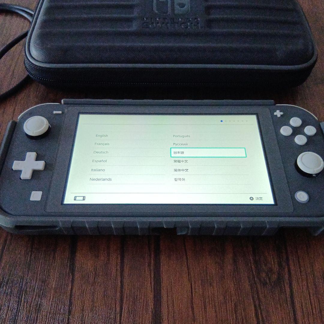 【値下げ中】Nintendo Switch Lite ハードケース＆ケース付