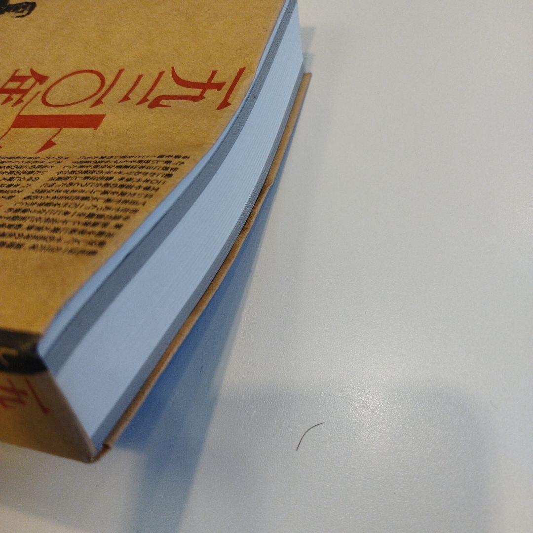 魯迅　上海　一九三〇年代　1994年 391P SC　匿名宅急便コンパクト