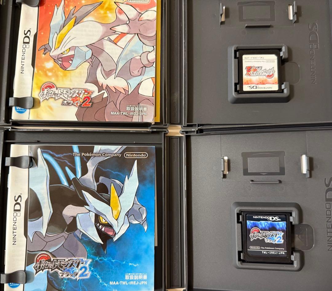 DS ポケットモンスター ブラック2 ホワイト2