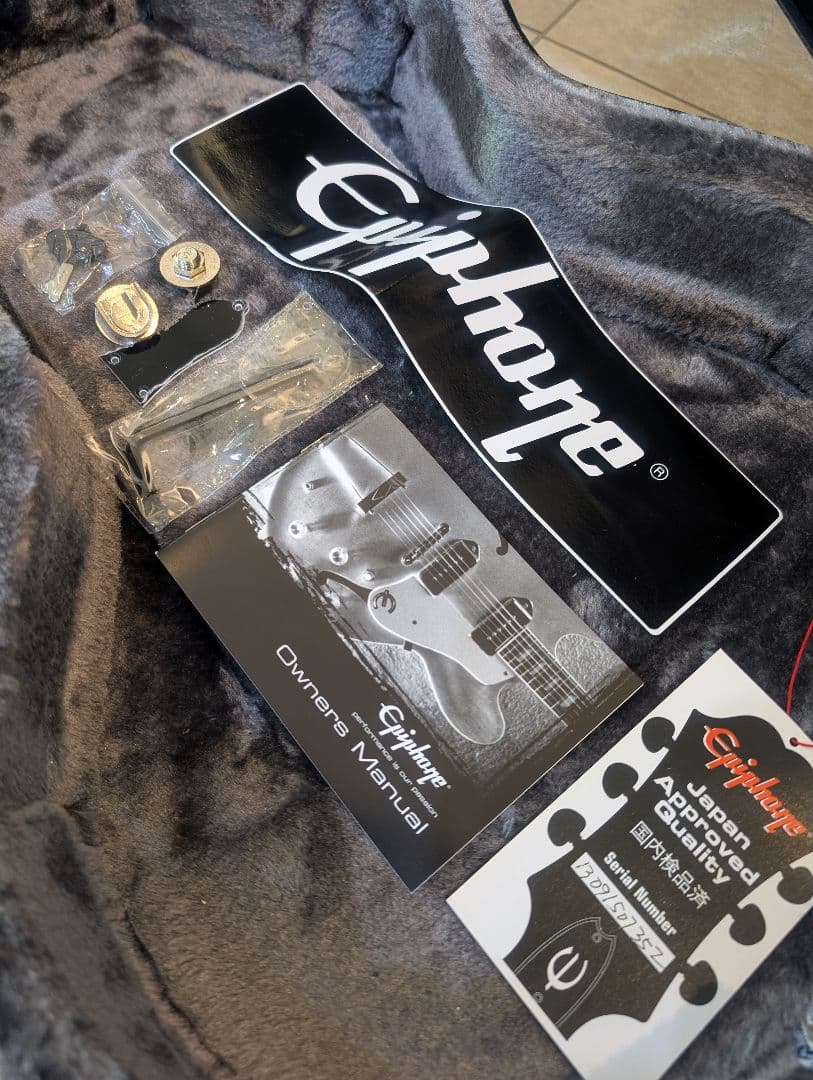 【極美品】 Epiphone Tak Matsumoto DC Standard