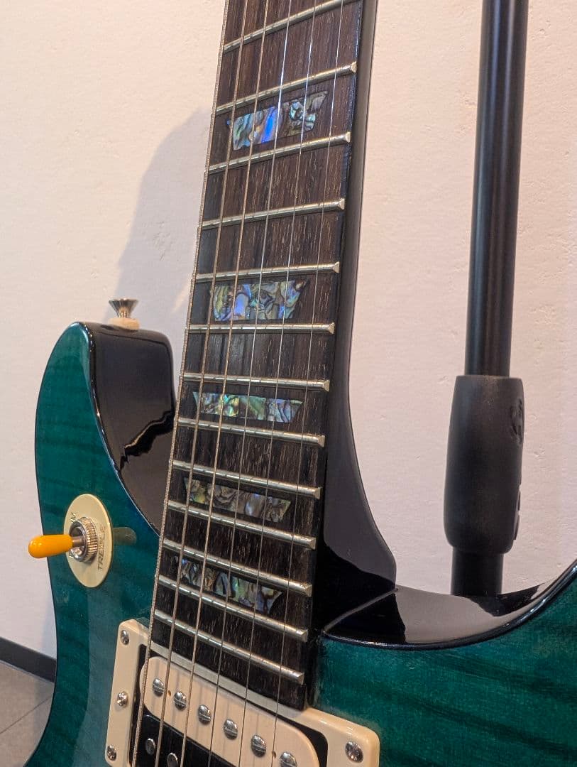 【極美品】 Epiphone Tak Matsumoto DC Standard