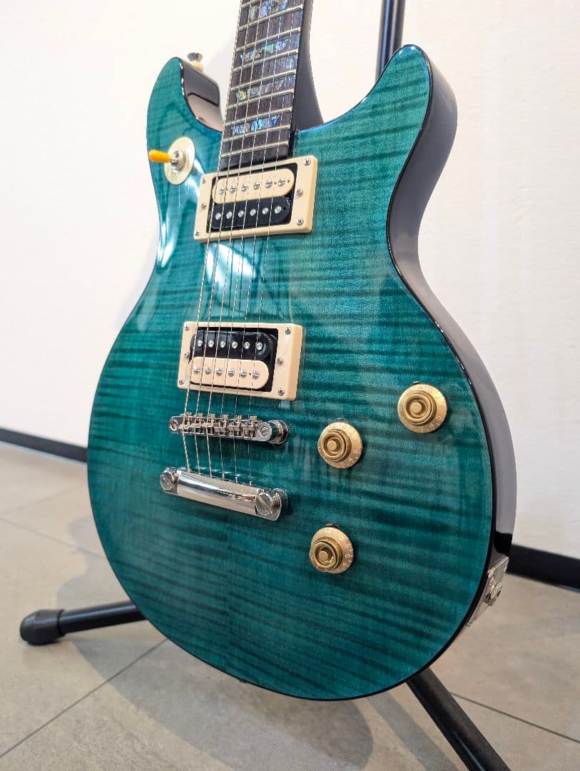 【極美品】 Epiphone Tak Matsumoto DC Standard