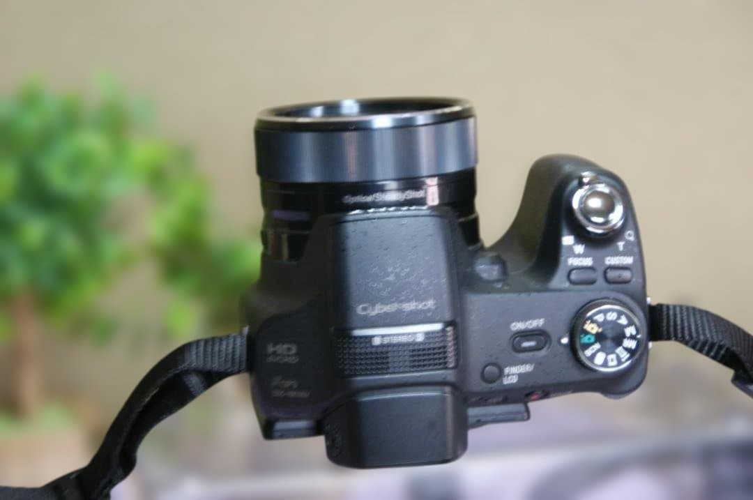 SONY　HX100V　絶好調　撮影簡単