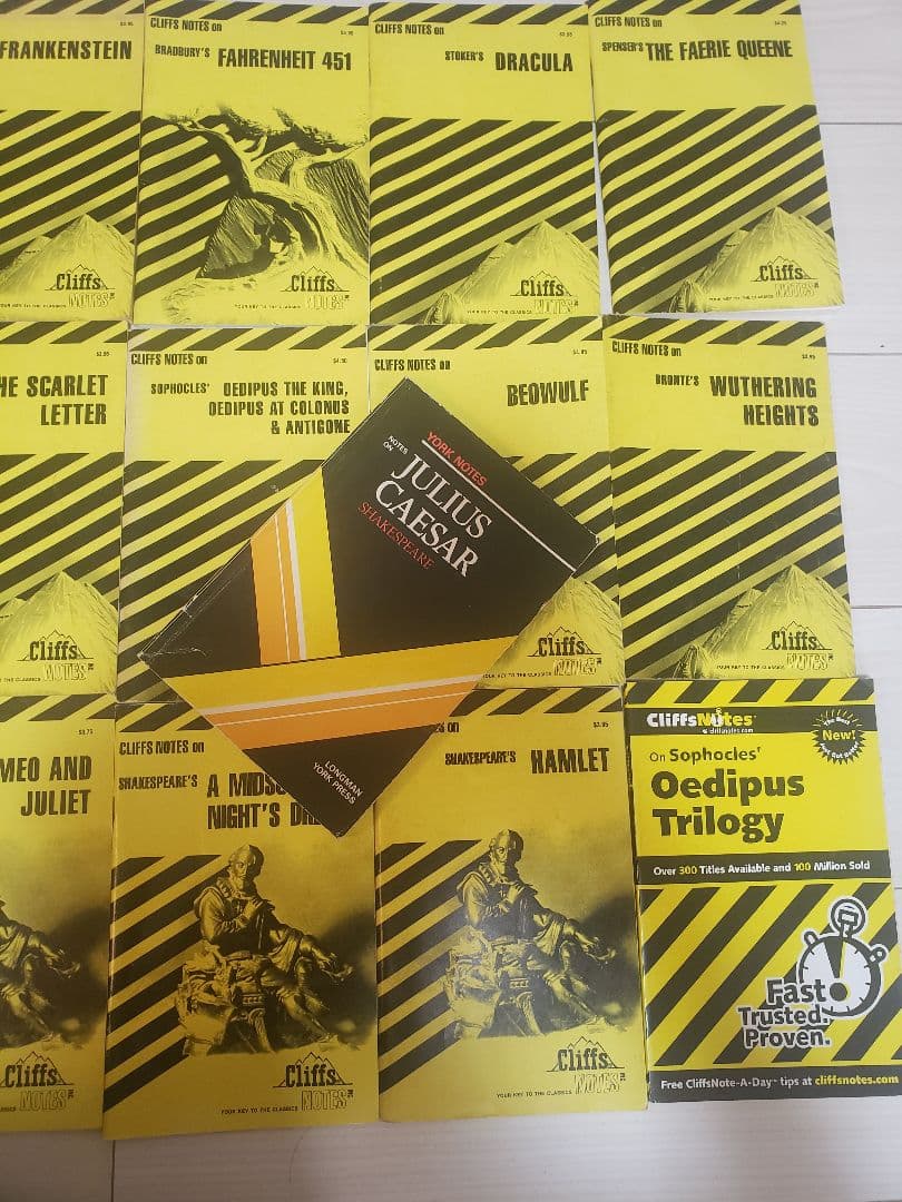 CliffsNotes 作品集 16冊セット