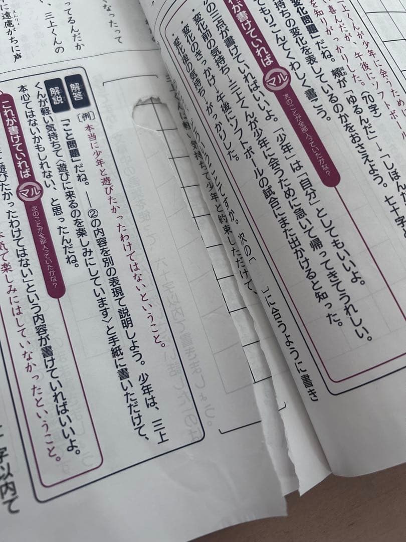 ベネッセ進研ゼミ 考える力•プラス 中学受験講座6年