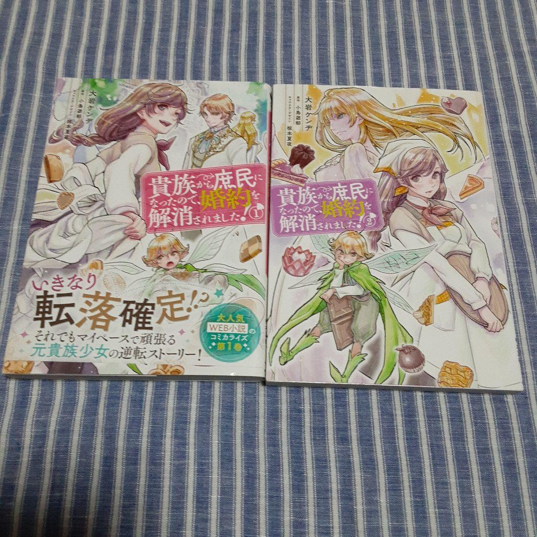 ⚠️専用です！貴族から庶民になったので、婚約を解消されました!