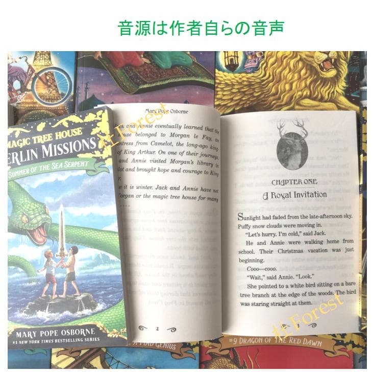 新品 Magic Tree House シリーズ2 絵本27冊 全冊音源付
