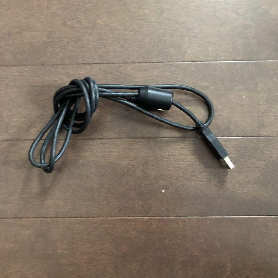本体