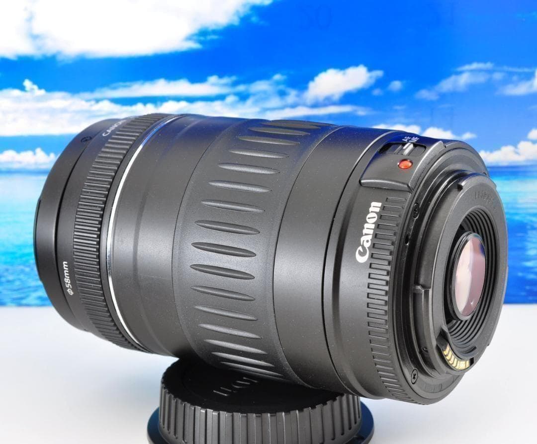 レンズが残す絆！ Canon キヤノン EF90-300mm 望遠レンズ#1