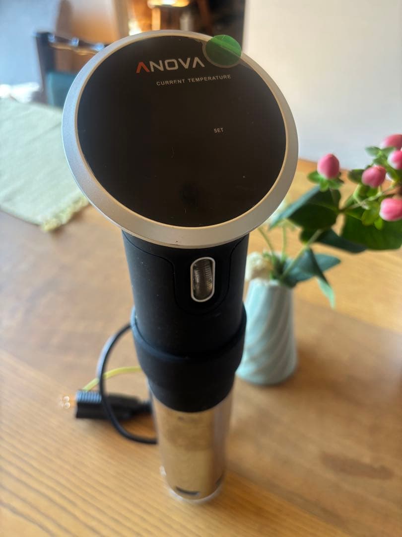 ANOVA Precision Cooker 低温調理器