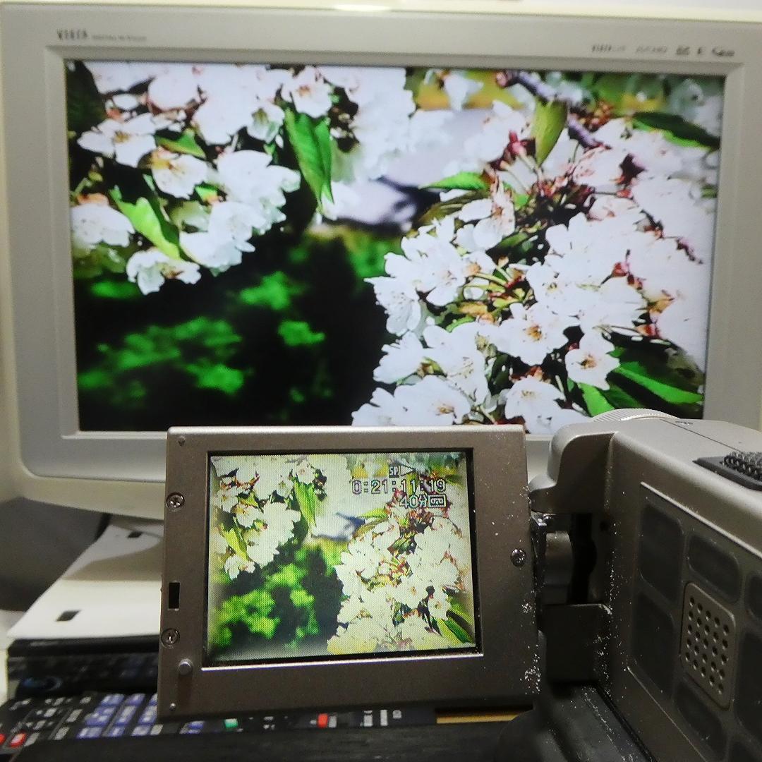 動作品 ソニーDCR-PC7 MiniDV ビデオカメラ DVDダビングに最適