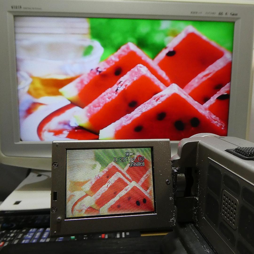 動作品 ソニーDCR-PC7 MiniDV ビデオカメラ DVDダビングに最適