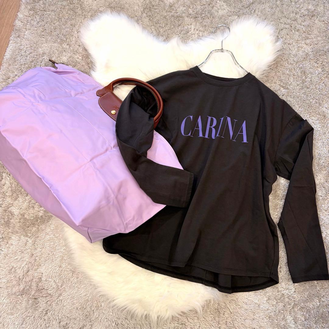 【希少】ロンシャン プリアージュ ラベンダー ボストンバッグ XL