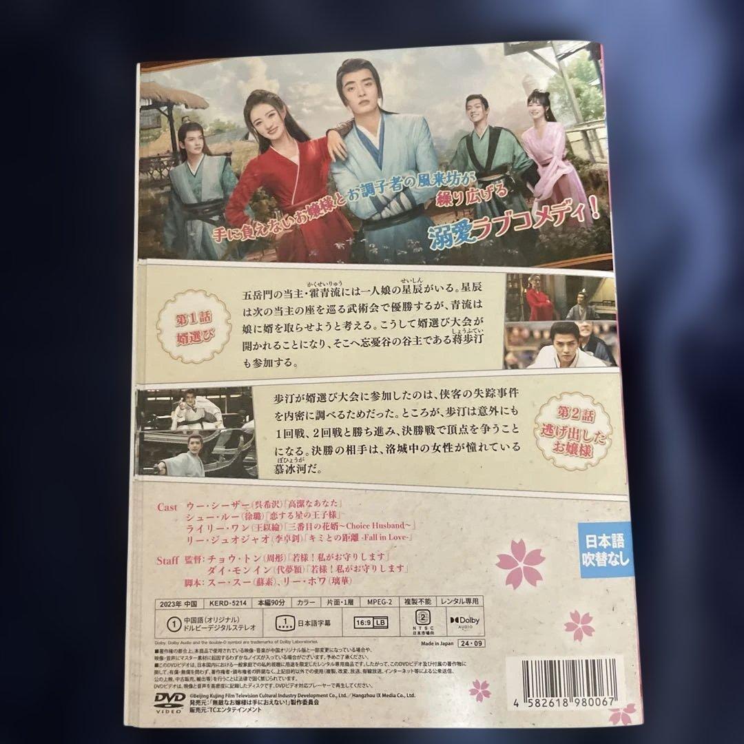 無敵なお嬢様は手におえない！／中国ドラマ全12巻完結　ウー・シーザー