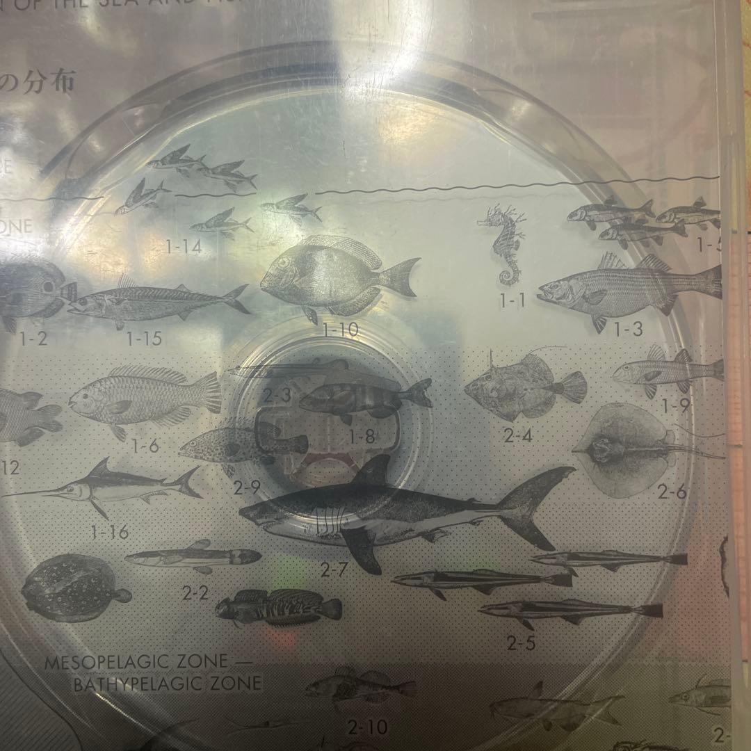 魚図鑑　サカナクション　Book of Fishes 2CD