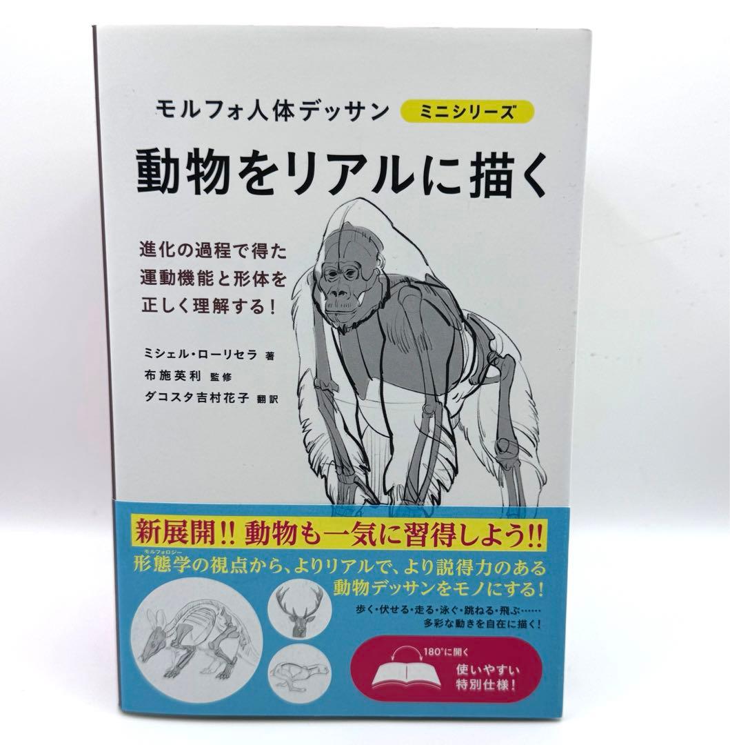 【8冊セット】モルフォ人体デッサン ミニシリーズ