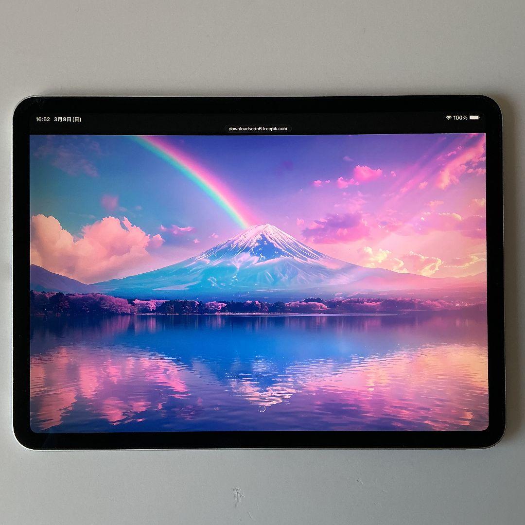 iPad Pro 11インチ 第2世代 Wi-Fi 128GB 液晶ヤケあり