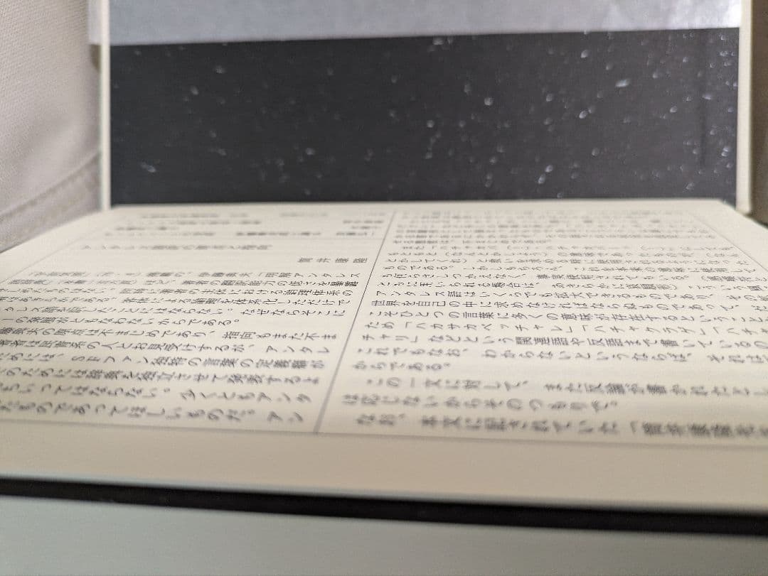 伊藤典夫評論集成
