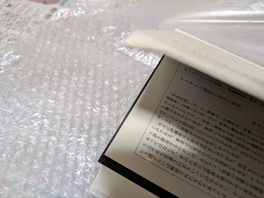 伊藤典夫評論集成