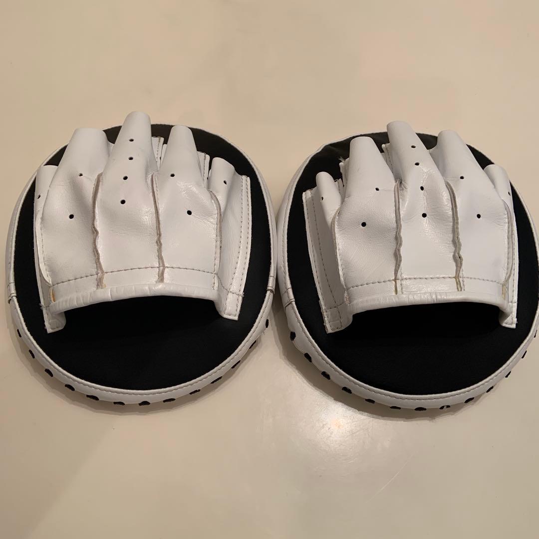 Fairtex ボクシング　ミット