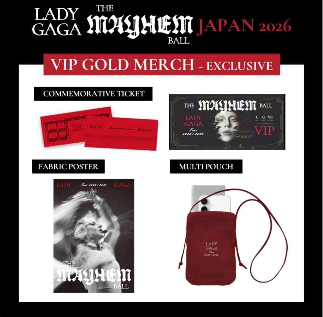 Lady Gaga VIP GOLD グッズ　セット
