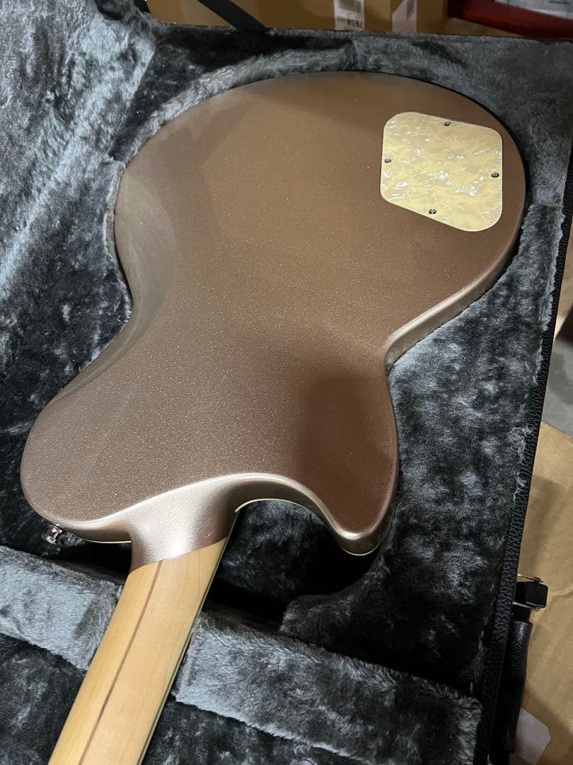 S*g様 D’Angelico Deluxe Atlantic Desert G