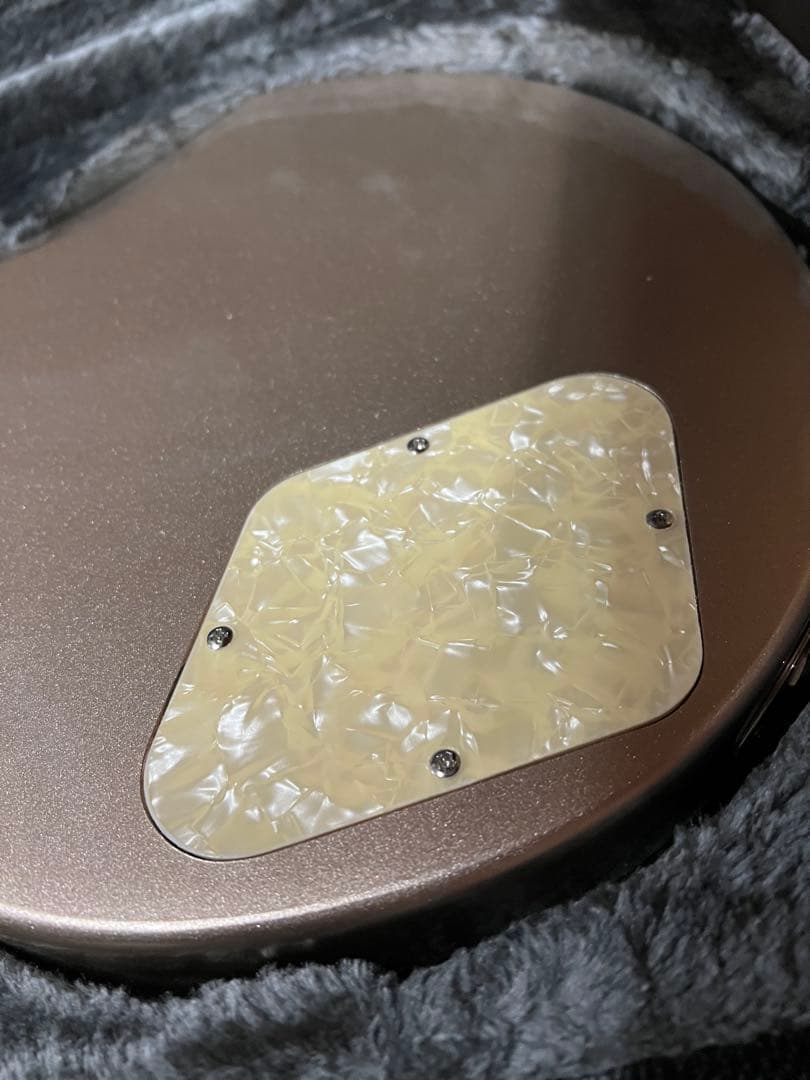 S*g様 D’Angelico Deluxe Atlantic Desert G