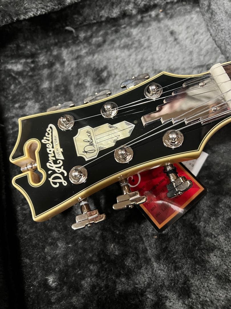 S*g様 D’Angelico Deluxe Atlantic Desert G