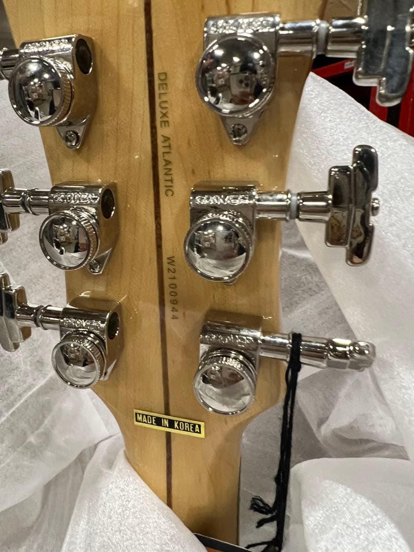 S*g様 D’Angelico Deluxe Atlantic Desert G