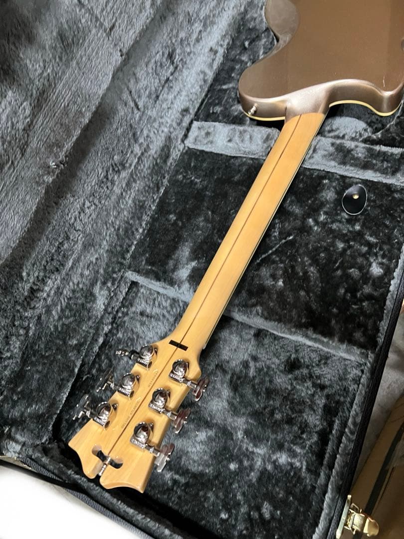 S*g様 D’Angelico Deluxe Atlantic Desert G