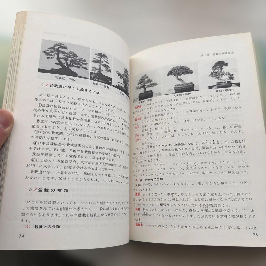 盆栽入門・整枝せん定・仕立てて楽しむ