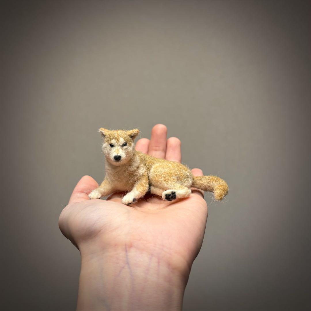 手のひら柴犬