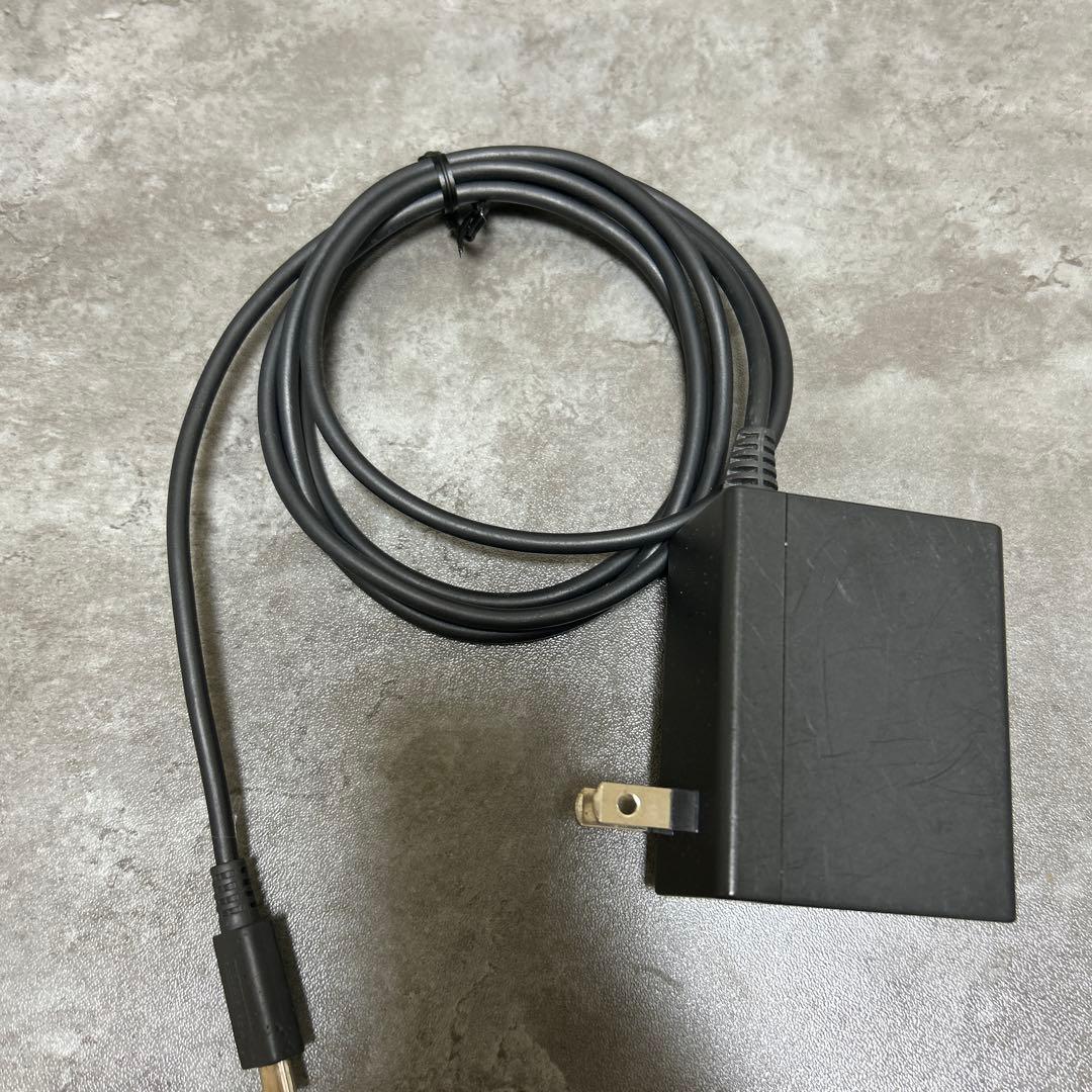 Switchライト　ブルー　付属の充電器
