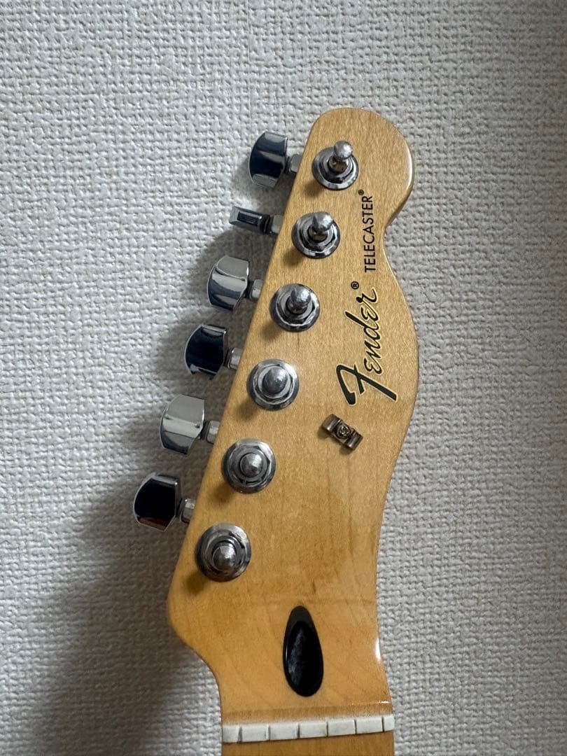 ギター Fender Mexico Standard Telecaster Swirl