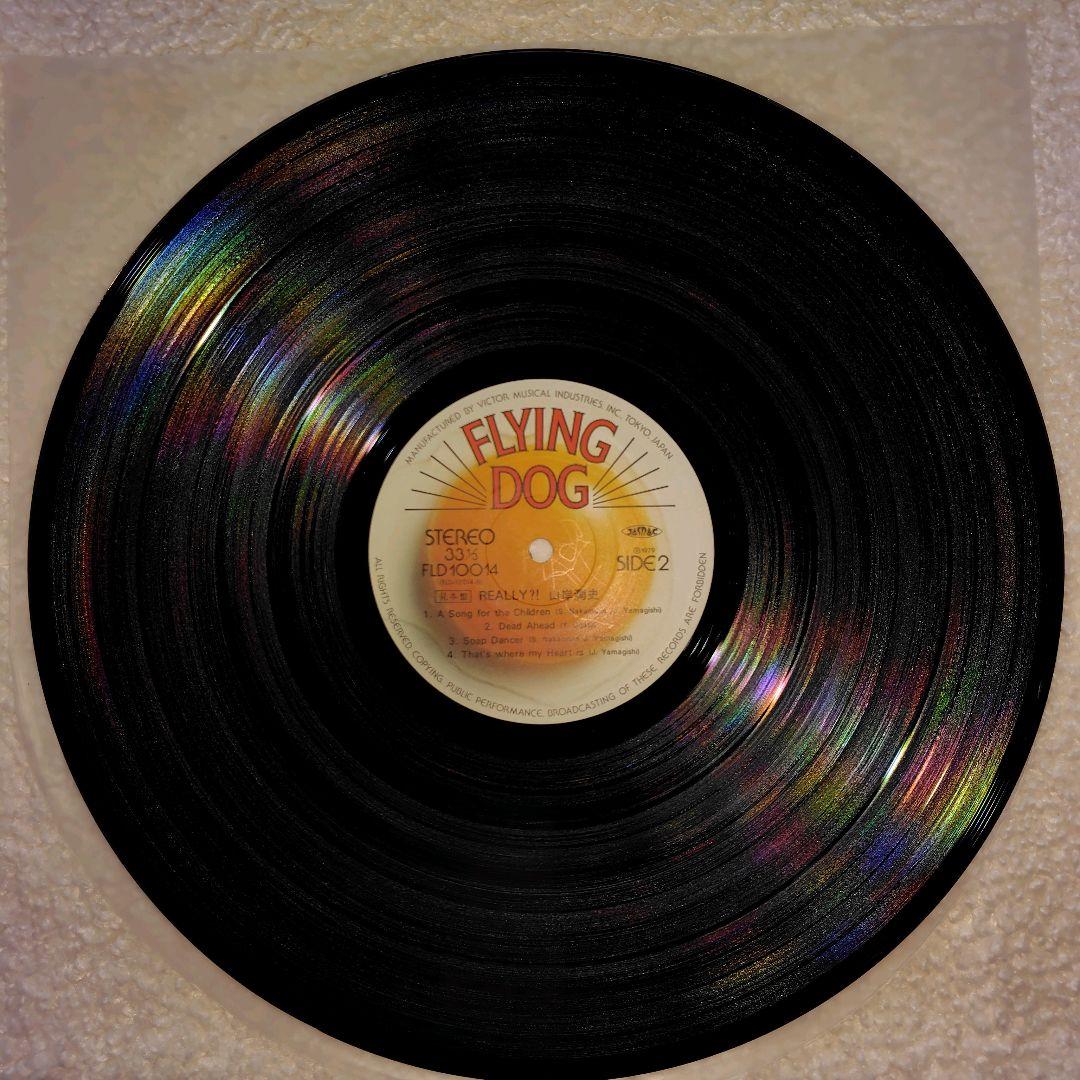 【送料無料 】山岸翔史 REALLY?! LP 国内盤 レコード